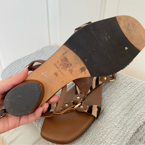 Anyi Lu - Women’s 5.5 36 Brown Flats With Zebra Print and Gold Accents - Picture 5 of 12